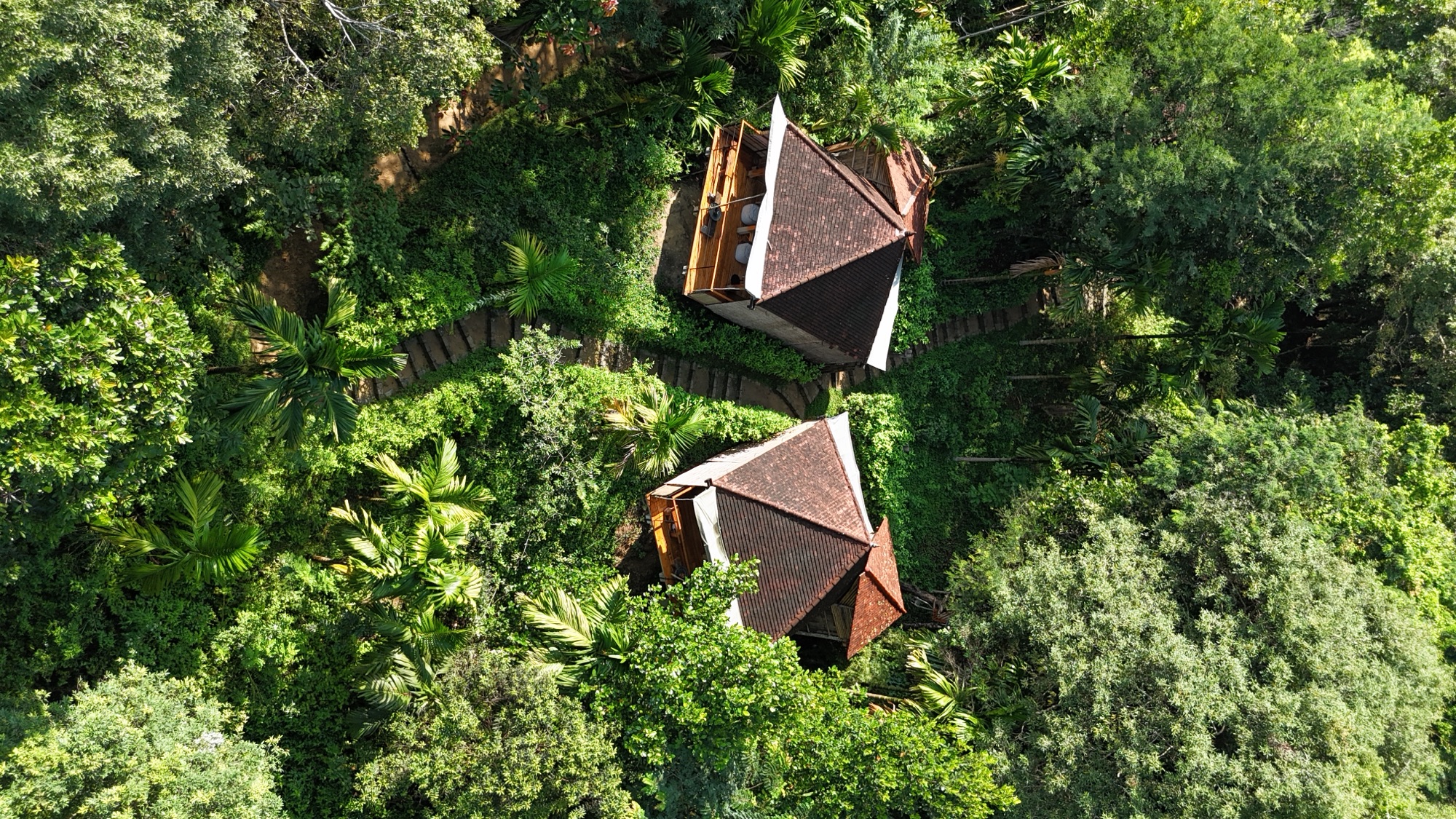Aerial view of two treetop Forest Pavilions among the rainforest canopy