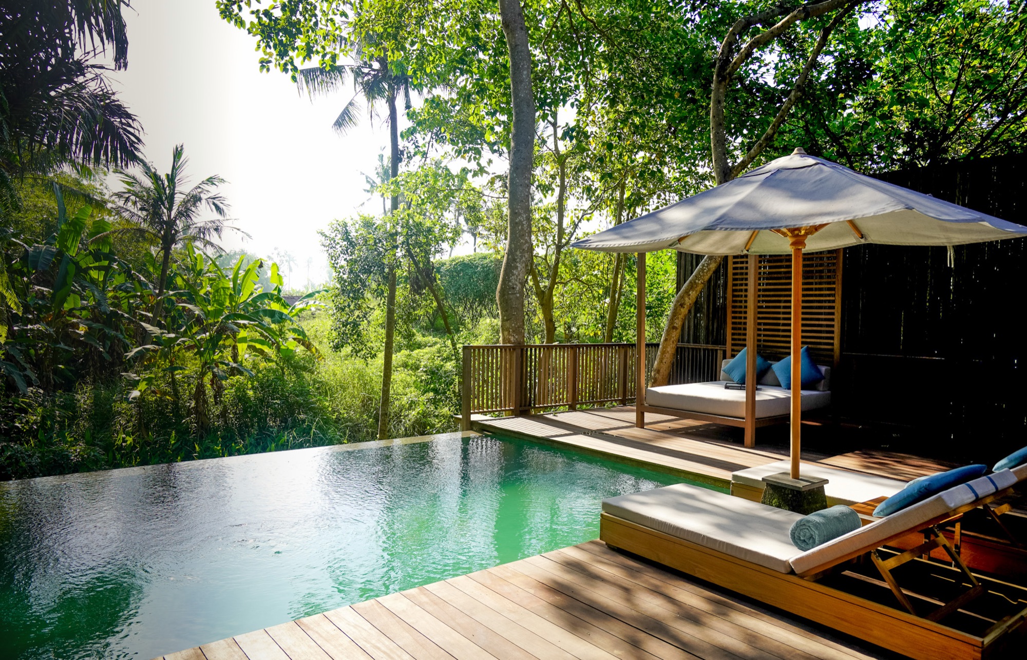 Private infinity pool and shaded daybed at The Residence