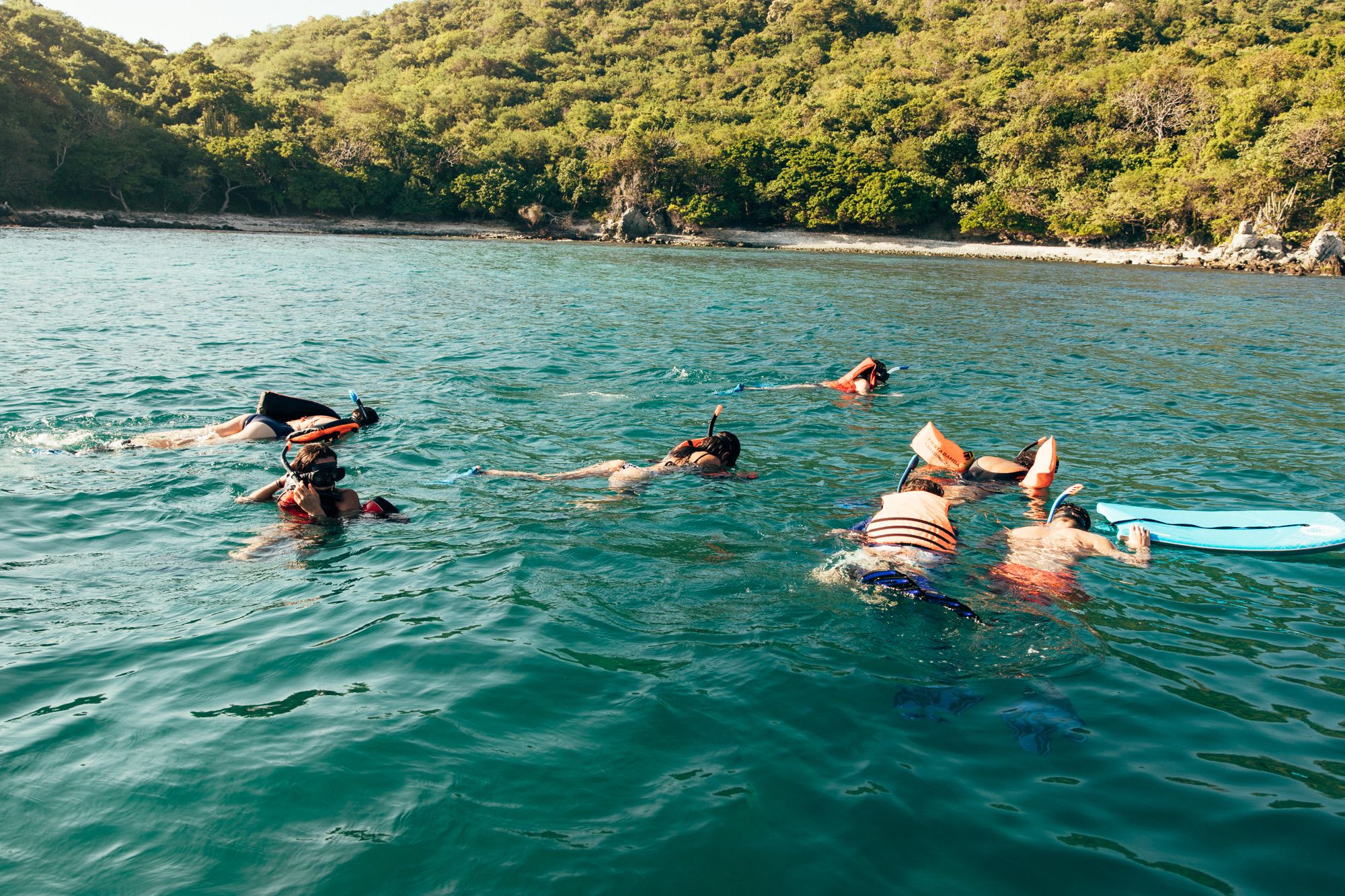 Snorkellers in clear turquoise water off a forested coast