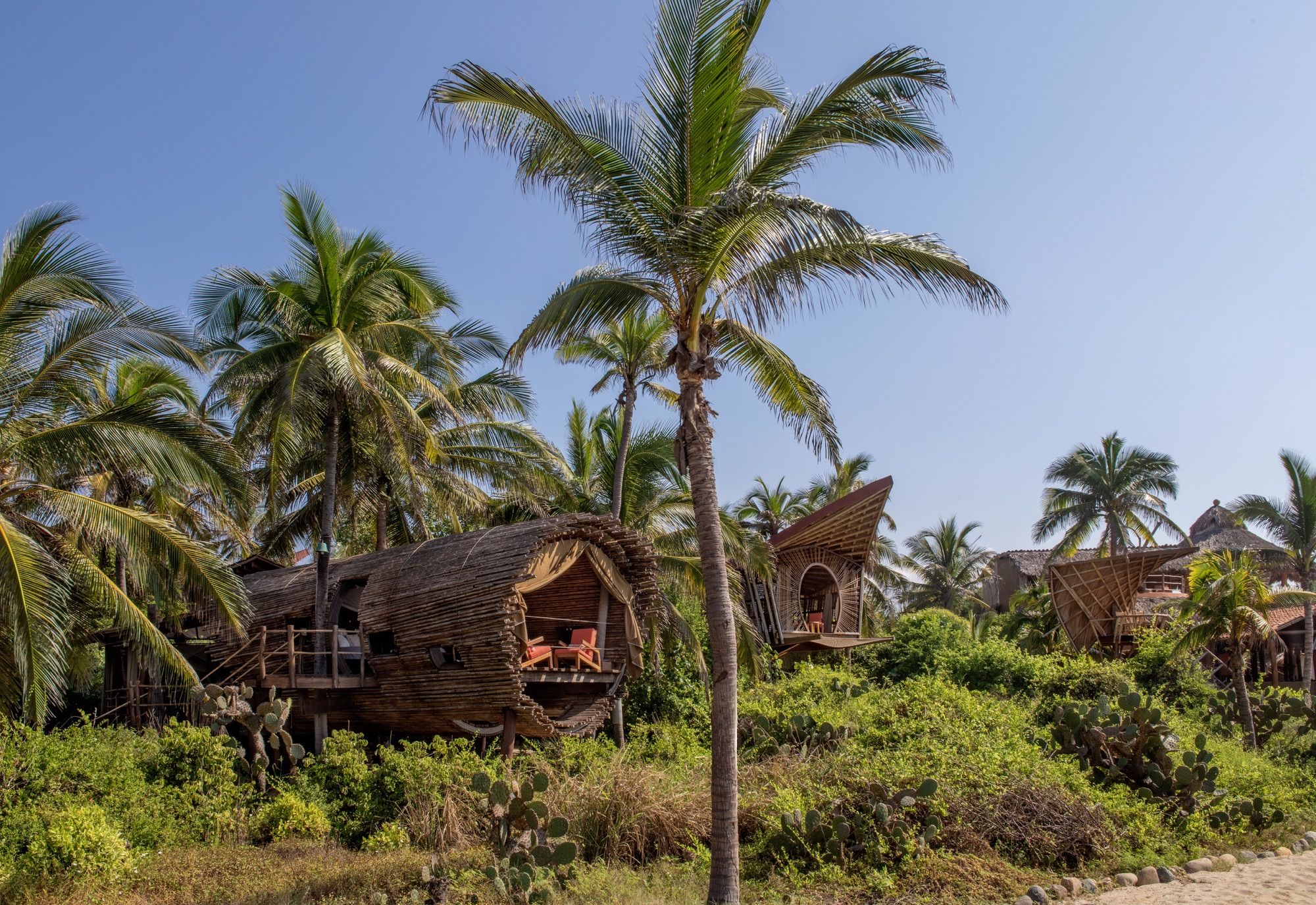 Bamboo treehouses among coconut palms and coastal scrub