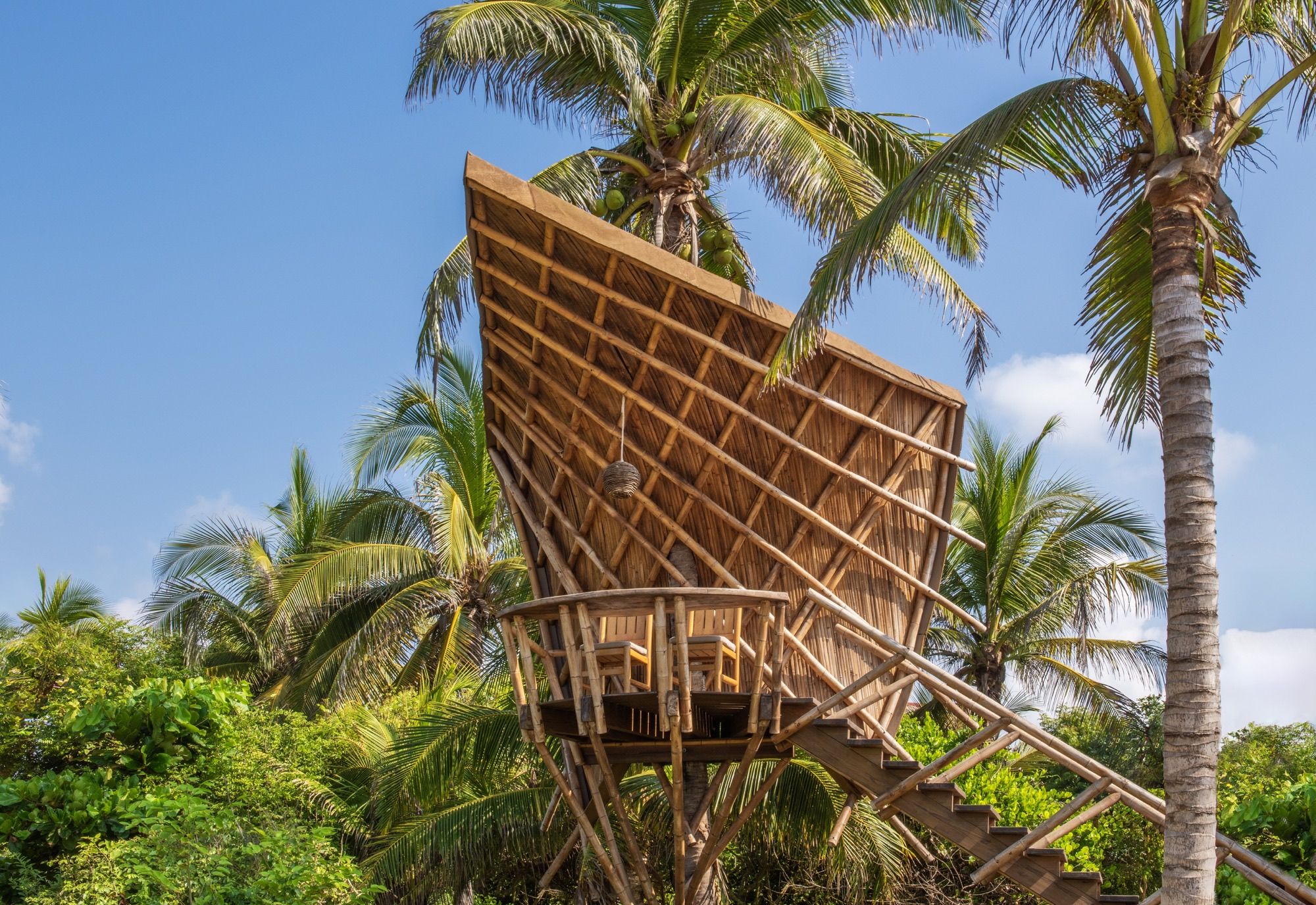 Bamboo treehouse with a sloping roof, raised among the palms