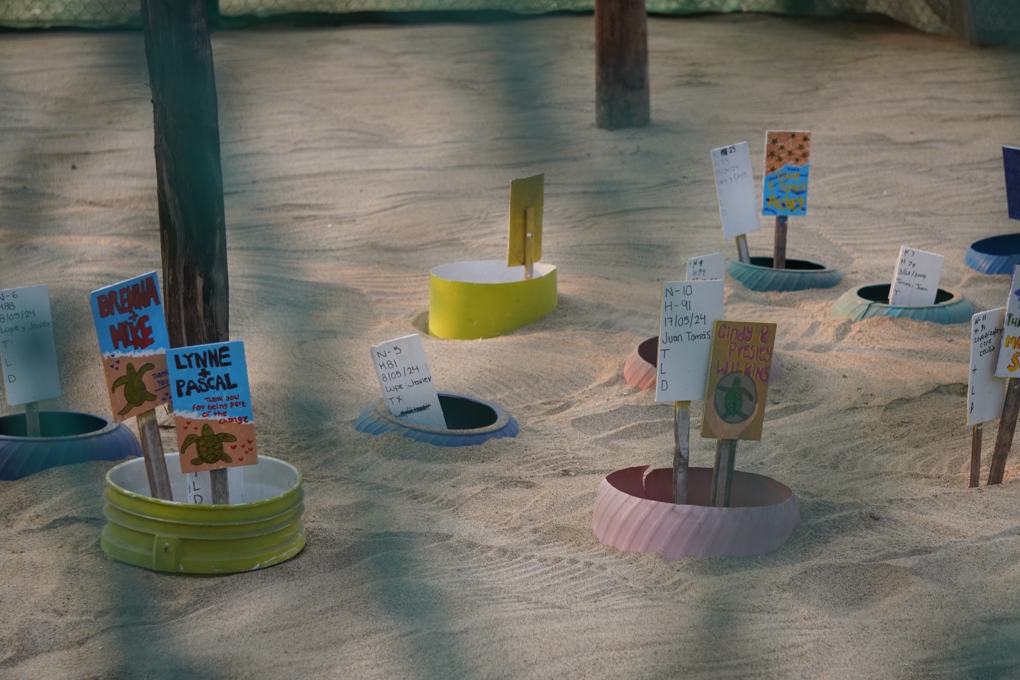 Nests in the hatchery, each marked with the name of its sponsor