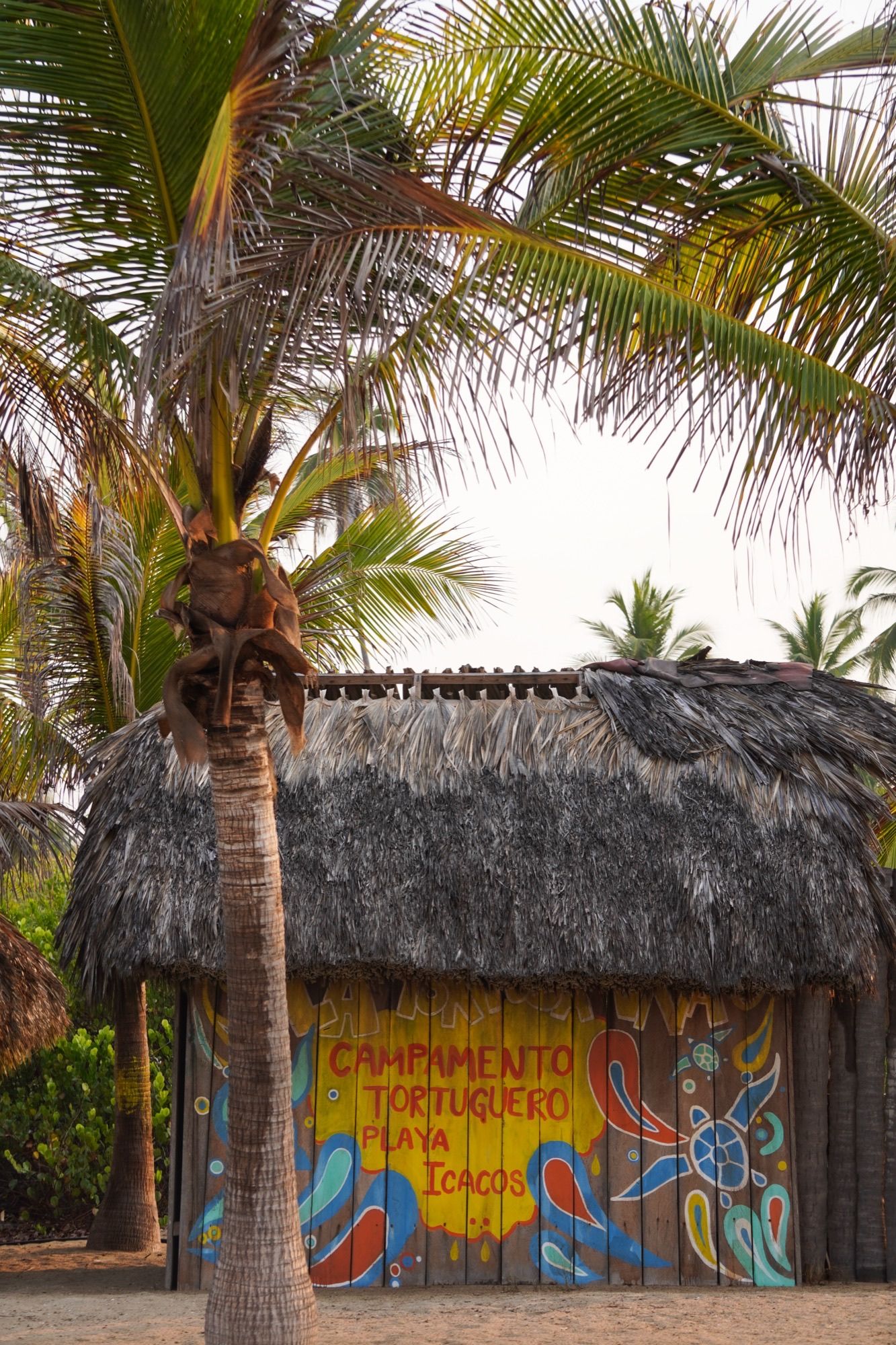 Painted hut of the La Tortuga Viva sea turtle camp on Playa Icacos