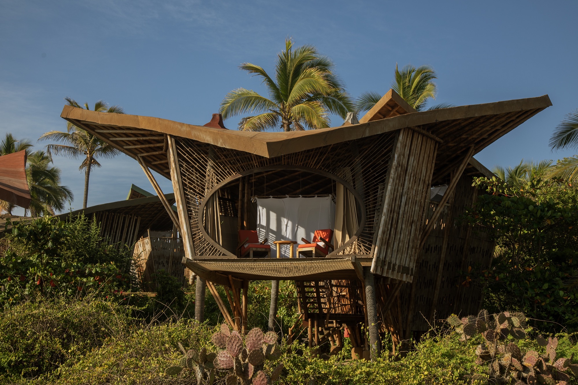 Manta treehouse with its curved roof, above the dune