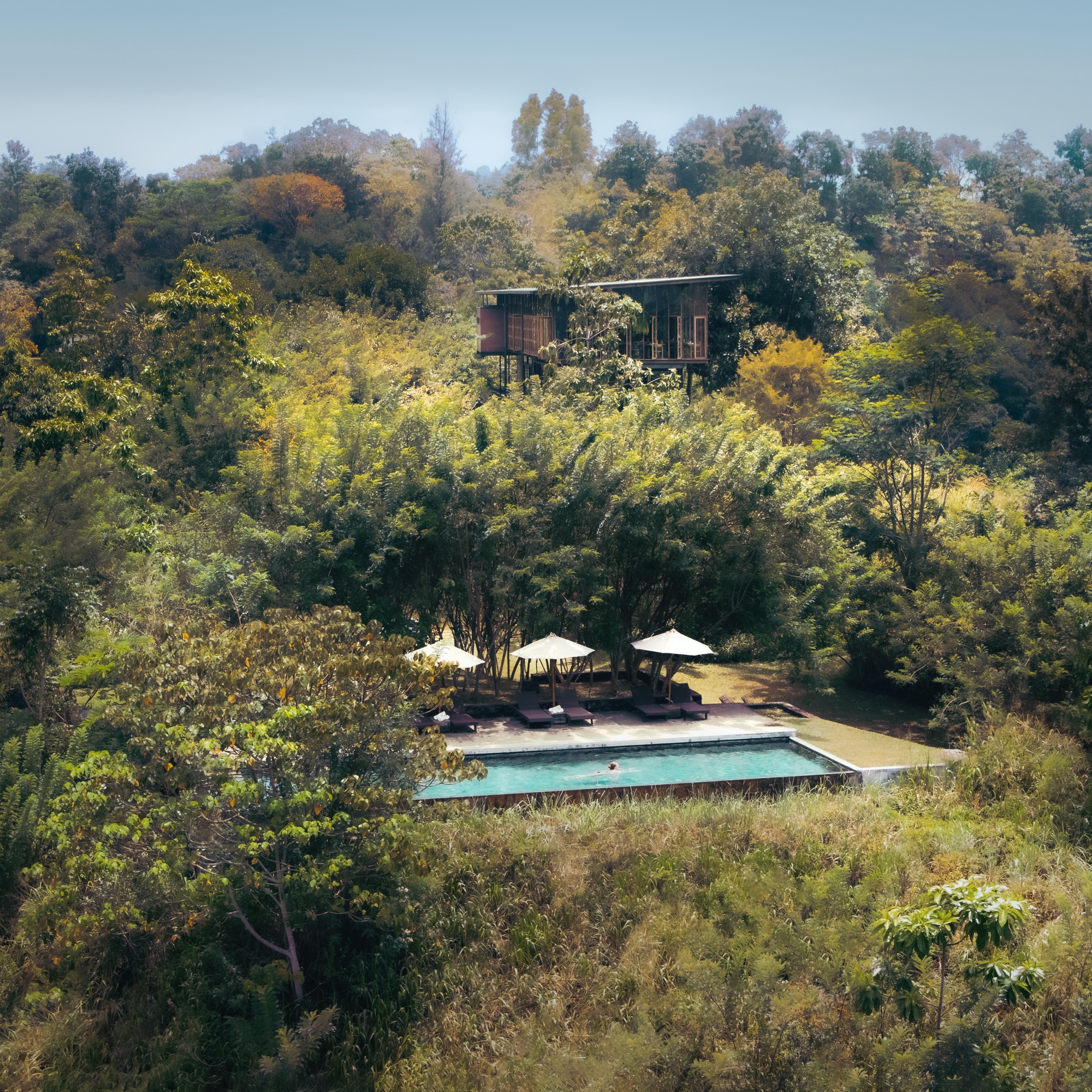 Infinity pool and parasols tucked into the forest below chalets hidden in the trees
