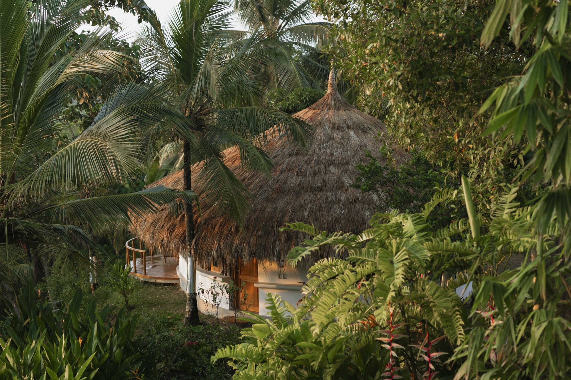 Thatched cabana nestled among palms and tropical greenery