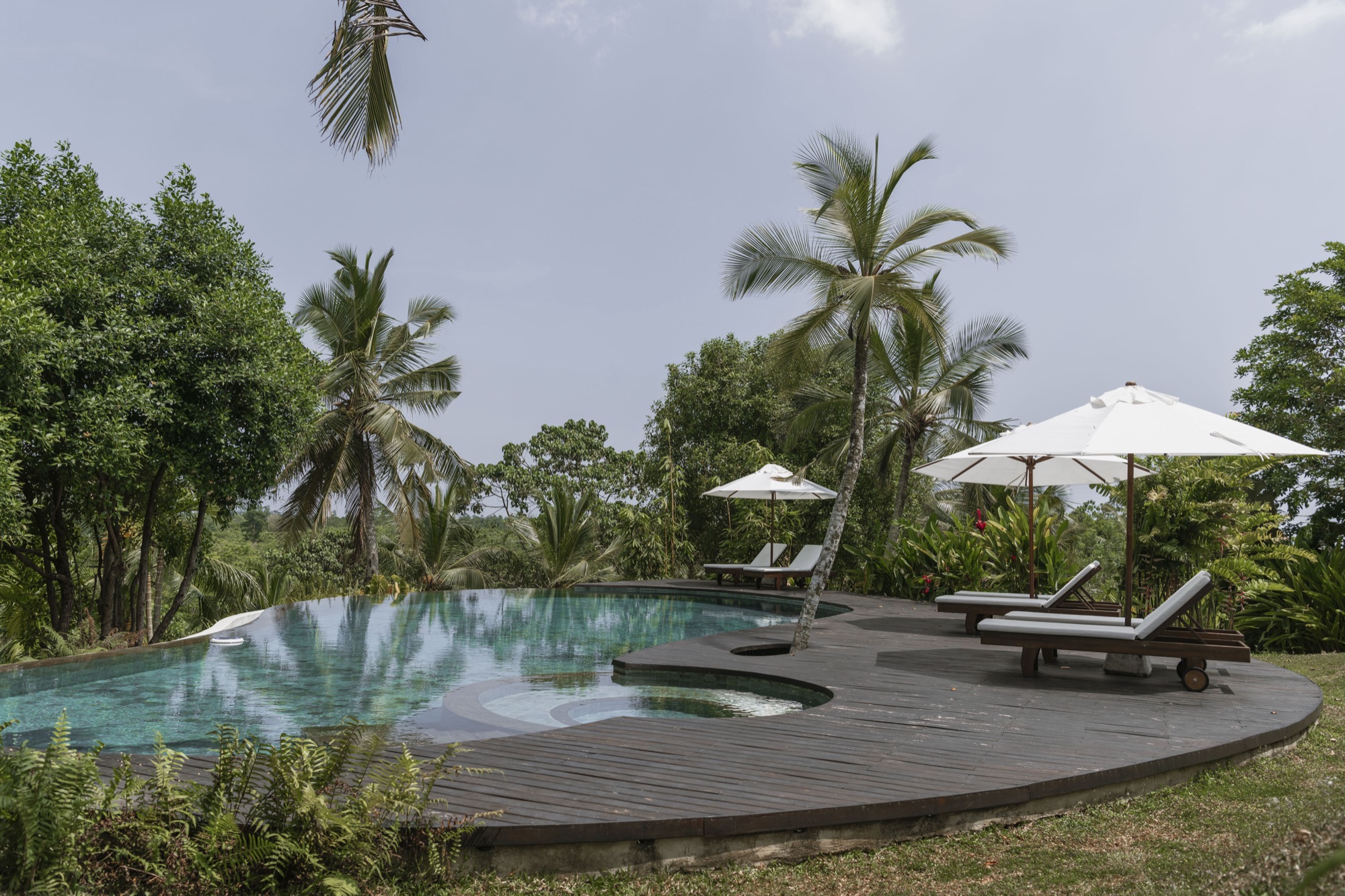 Infinity pool and timber deck with loungers overlooking the jungle canopy