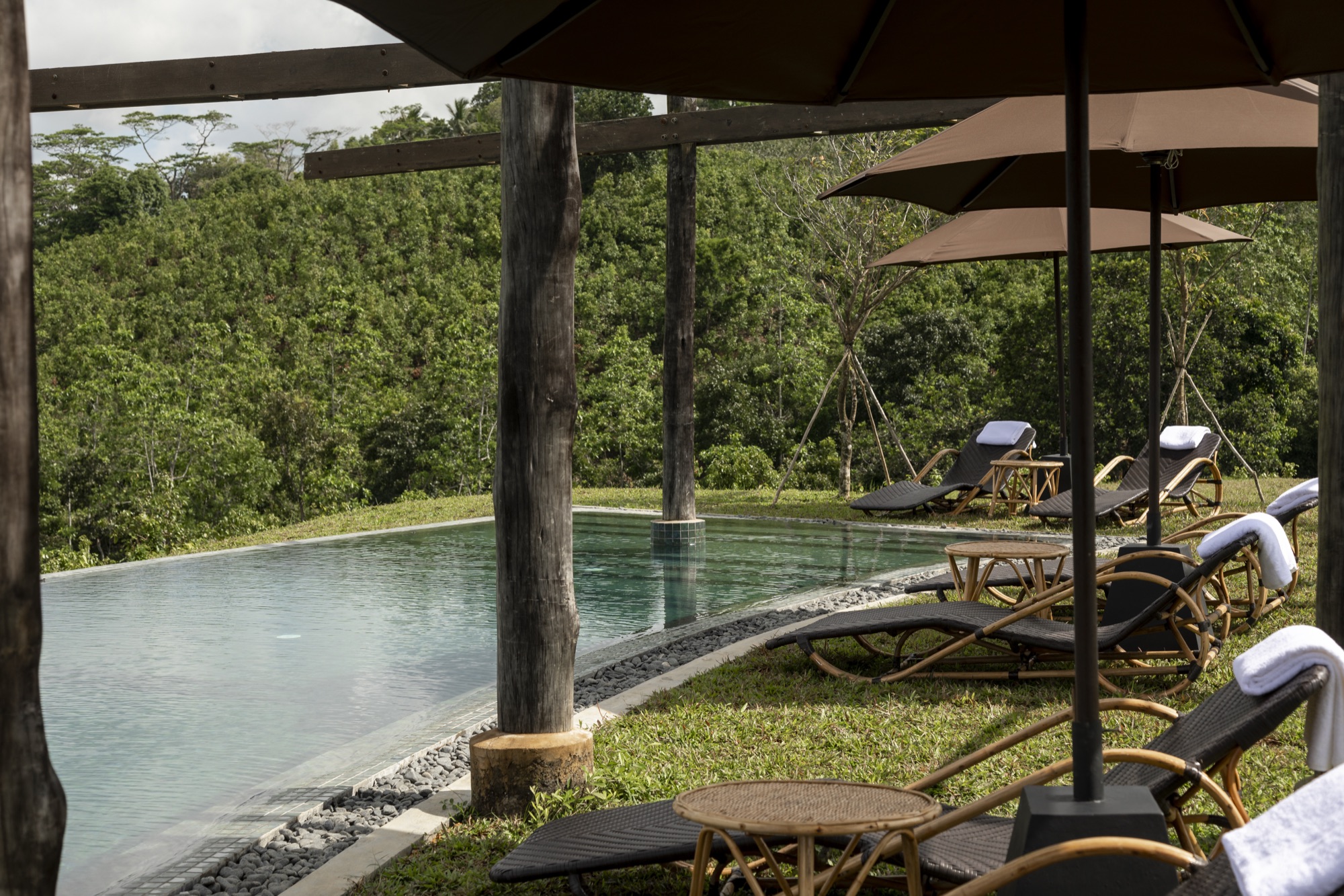 Sun loungers and parasols lining the infinity pool above the forest
