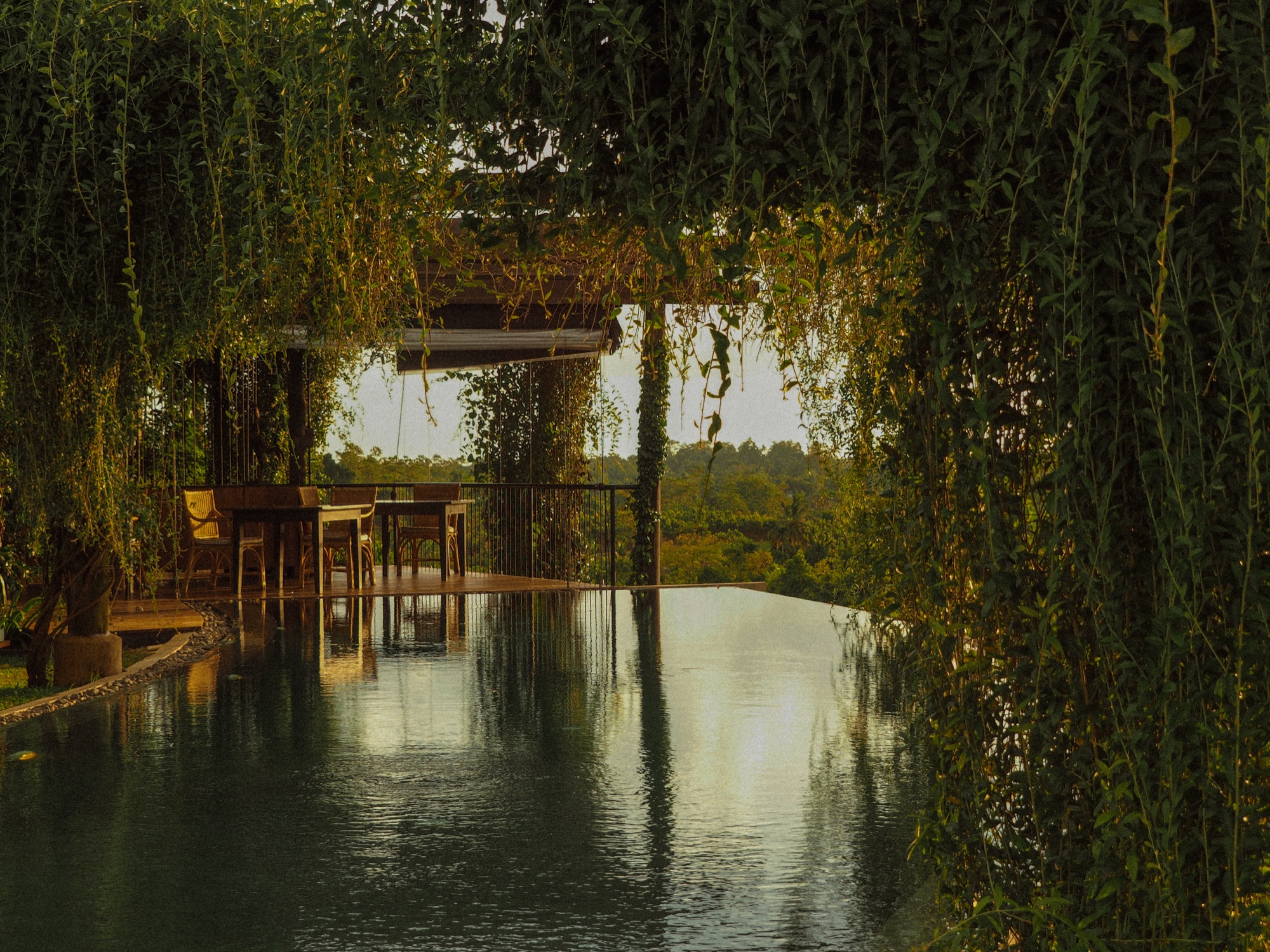 Infinity pool framed by hanging greenery with a dining table at golden hour
