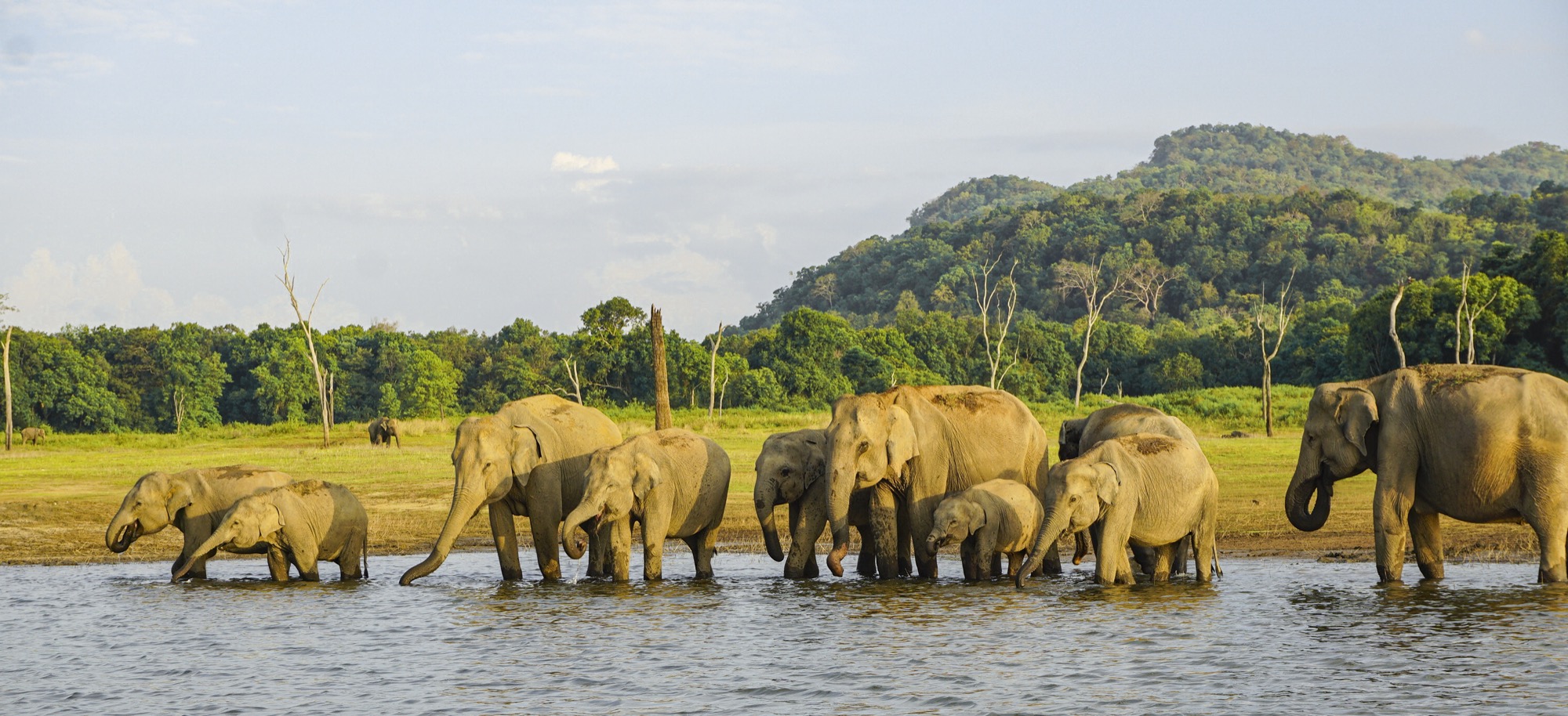 A sustainable luxury stay in Sri Lanka