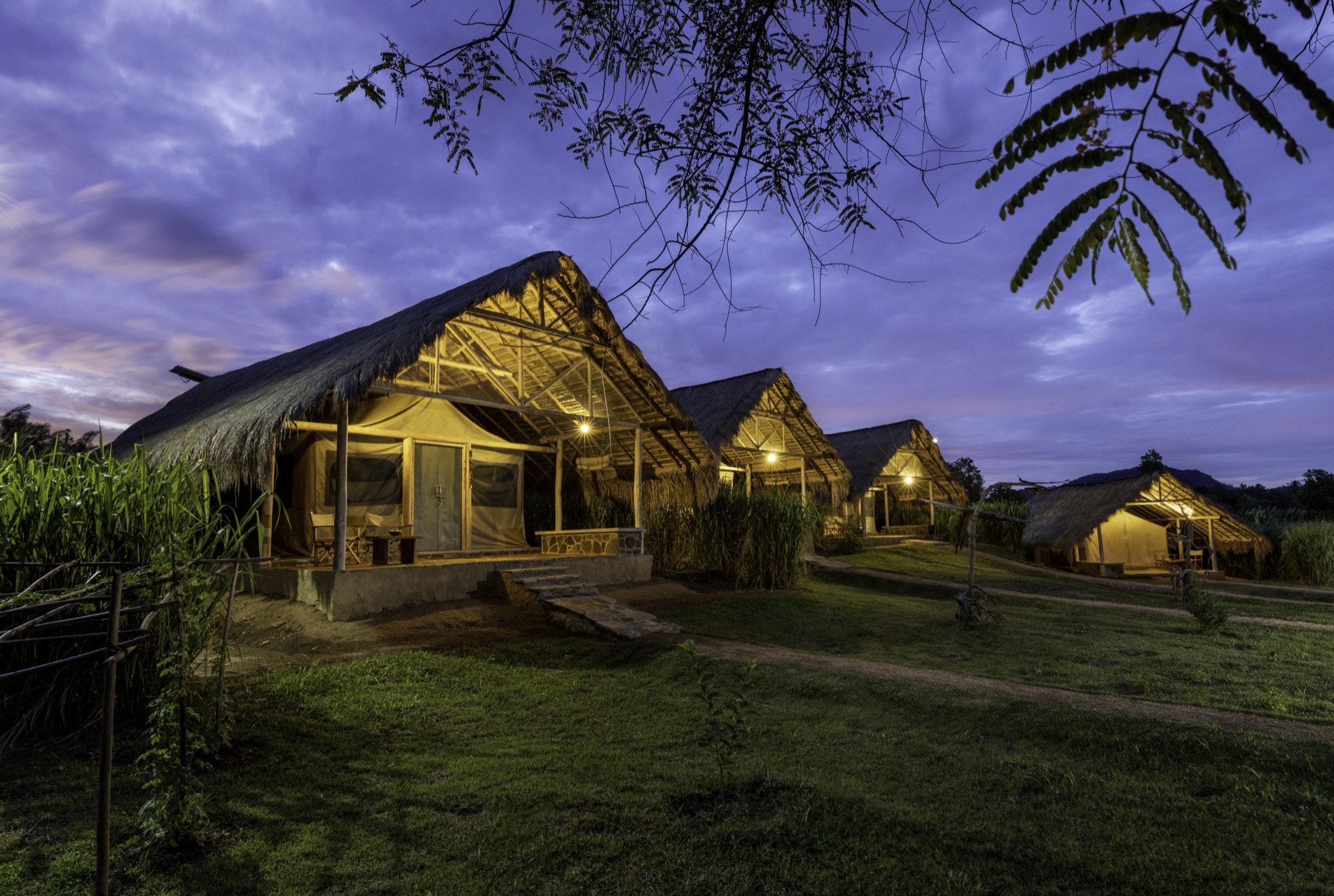 Row of thatched tent pavilions lit at blue hour, dusk over Gal Oya