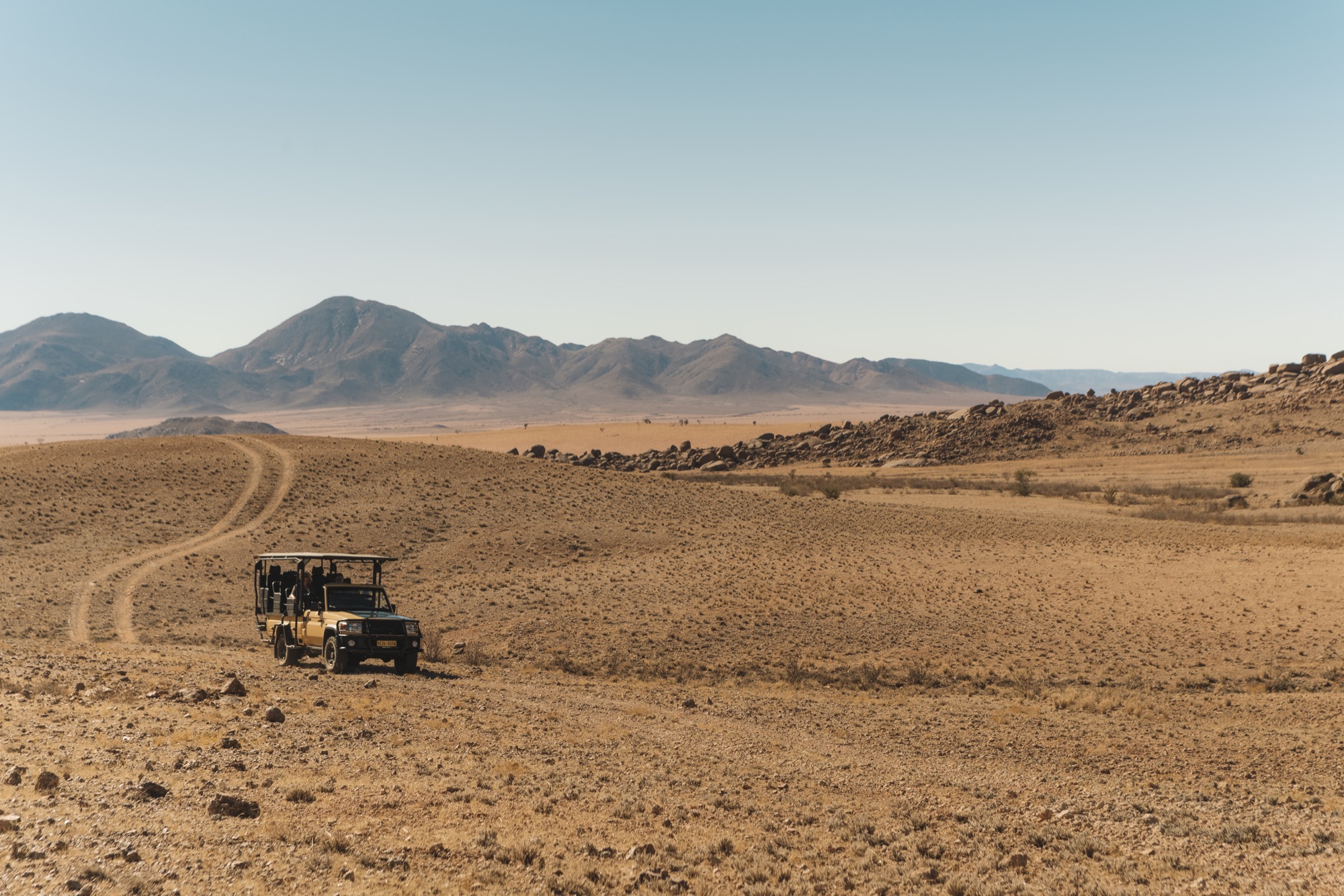 Game drive vehicle on a track across the plains